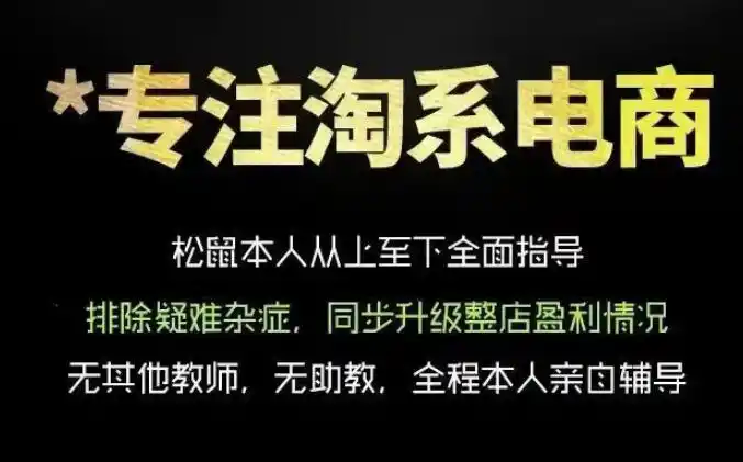 松鼠会电商VIP课程，从基础布局到高阶优化，助你掌握淘宝运营逻辑，提升店铺流量与转化(更新0809)-云网创