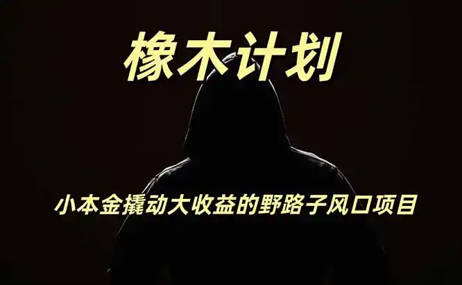 橡木计划，小投入撬动高回报的风口野路子项目，一天投入2小时左右-云网创